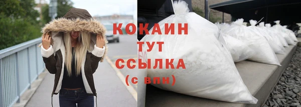 шишки Семилуки