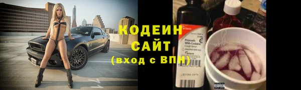 шишки Семилуки