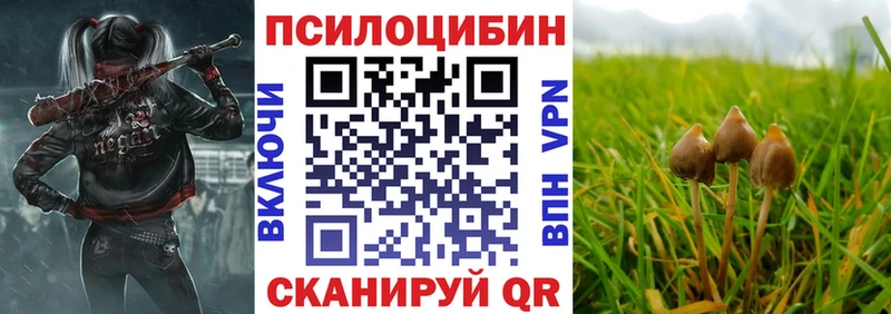 Псилоцибиновые грибы Psilocybine cubensis  купить закладку  Спас-Клепики 